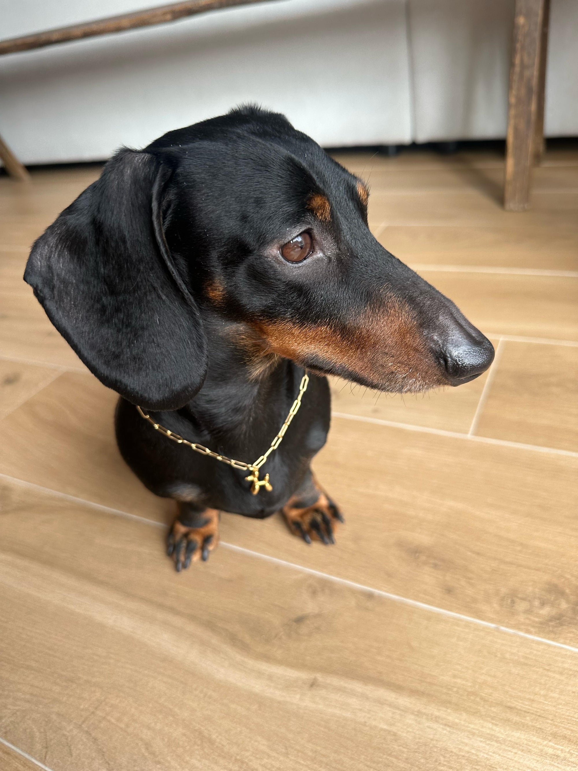 CAMILO